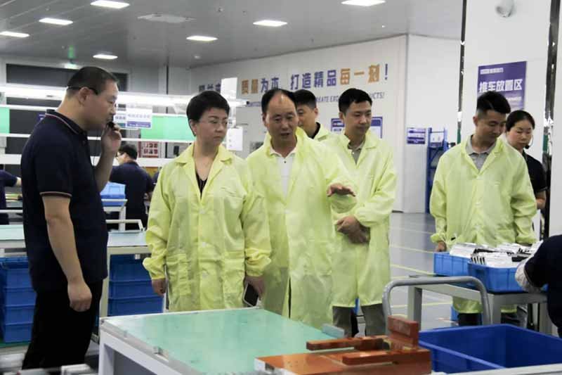 DSE group visits