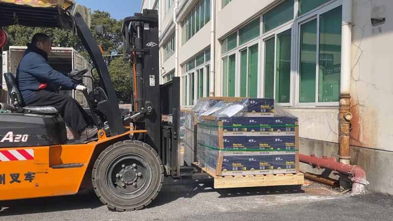 Sodium battery dispatch 3